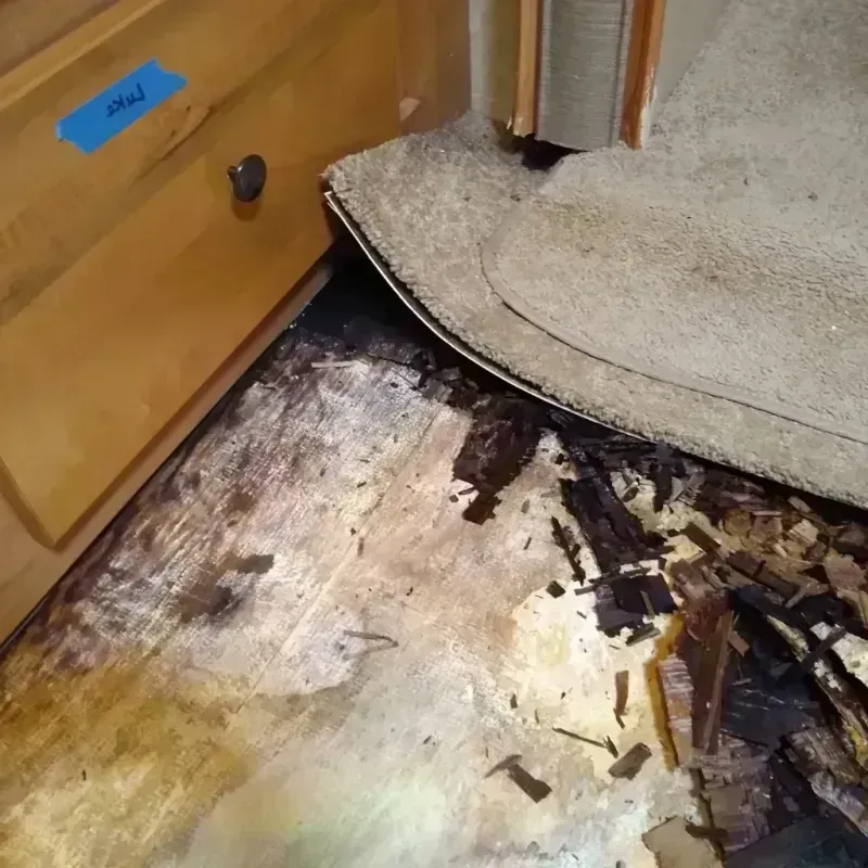 Wood Floor Water Damage in Batavia, OH